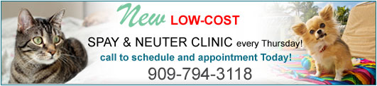 spray and neuter clinic