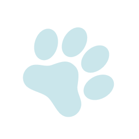paw