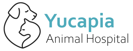 Yucaipa Animal Hospital