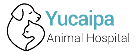 Yucaipa animal hospital logo